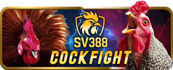 Cập nhật Thể Thao kubet79